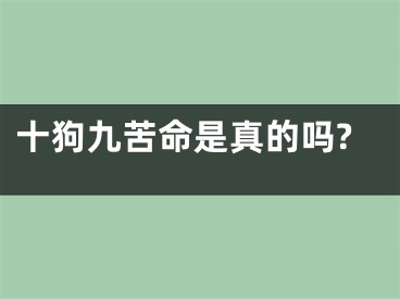 十狗九苦命是真的吗?