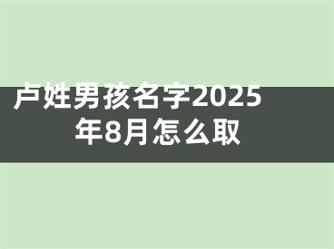 卢姓男孩名字2025年8月怎么取