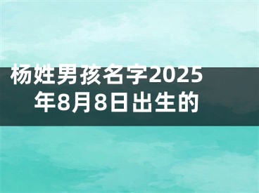 杨姓男孩名字2025年8月8日出生的