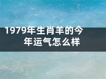 1979年生肖羊的今年运气怎么样