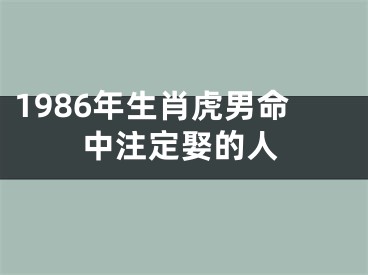 1986年生肖虎男命中注定娶的人