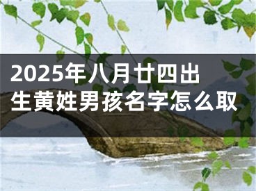 2025年八月廿四出生黄姓男孩名字怎么取