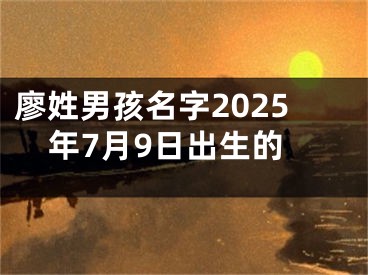 廖姓男孩名字2025年7月9日出生的