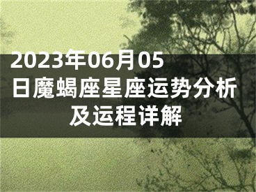 2023年06月05日魔蝎座星座运势分析及运程详解