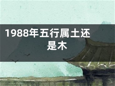 1988年五行属土还是木