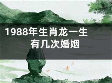 1988年生肖龙一生有几次婚姻