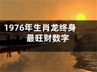 1976年生肖龙终身最旺财数字