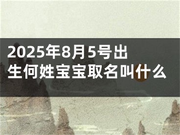 2025年8月5号出生何姓宝宝取名叫什么
