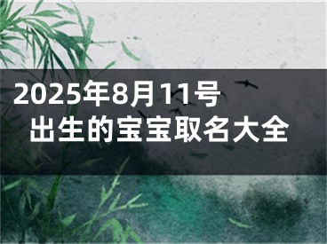 2025年8月11号出生的宝宝取名大全