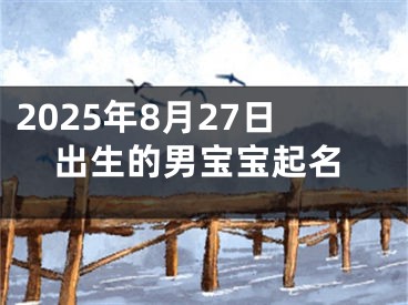2025年8月27日出生的男宝宝起名