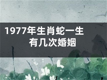 1977年生肖蛇一生有几次婚姻