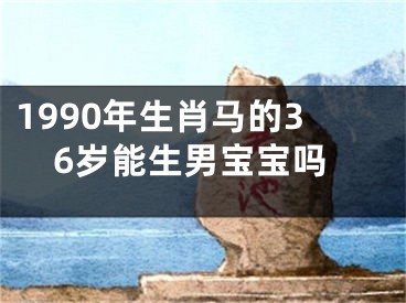 1990年生肖马的36岁能生男宝宝吗