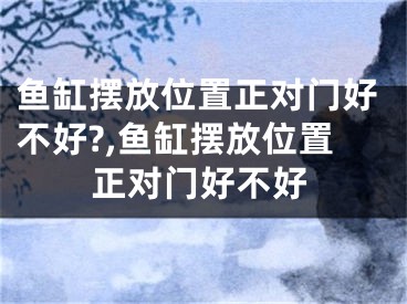 鱼缸摆放位置正对门好不好?,鱼缸摆放位置正对门好不好