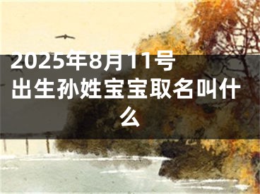 2025年8月11号出生孙姓宝宝取名叫什么