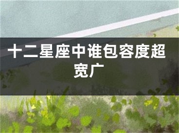 十二星座中谁包容度超宽广