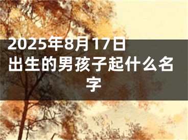 2025年8月17日出生的男孩子起什么名字