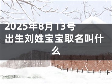 2025年8月13号出生刘姓宝宝取名叫什么