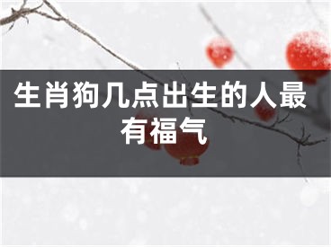生肖狗几点出生的人最有福气