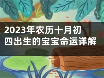 2023年农历十月初四出生的宝宝命运详解