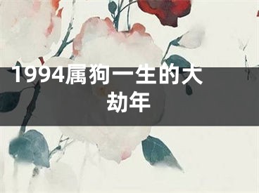 1994属狗一生的大劫年
