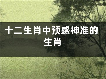 十二生肖中预感神准的生肖