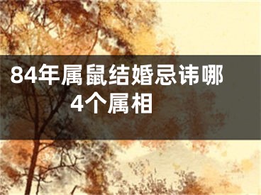 84年属鼠结婚忌讳哪4个属相 