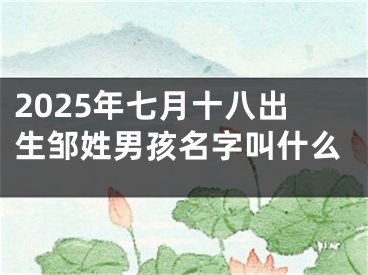 2025年七月十八出生邹姓男孩名字叫什么