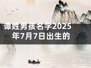谭姓男孩名字2025年7月7日出生的