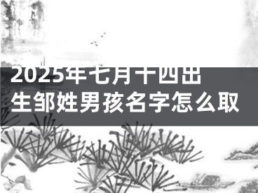 2025年七月十四出生邹姓男孩名字怎么取