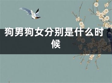 狗男狗女分别是什么时候