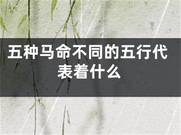 五种马命不同的五行代表着什么