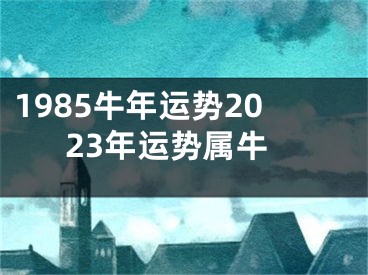1985牛年运势2023年运势属牛