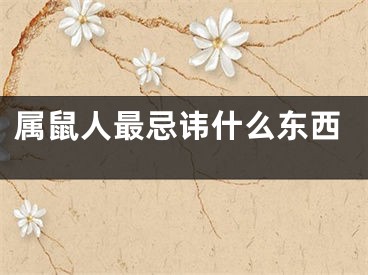 属鼠人最忌讳什么东西