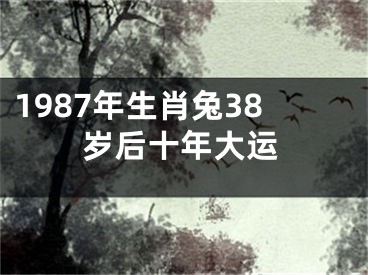 1987年生肖兔38岁后十年大运