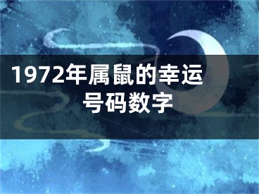 1972年属鼠的幸运号码数字
