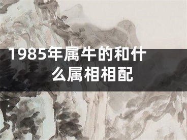 1985年属牛的和什么属相相配