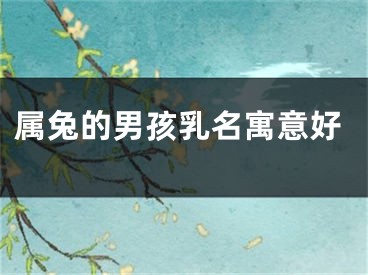 属兔的男孩乳名寓意好