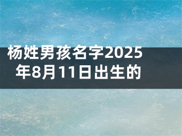 杨姓男孩名字2025年8月11日出生的