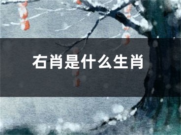 右肖是什么生肖
