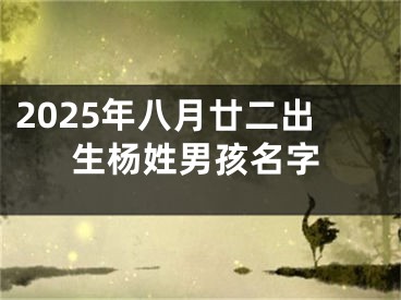2025年八月廿二出生杨姓男孩名字