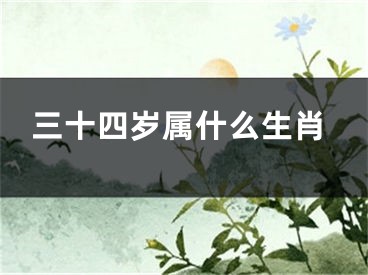 三十四岁属什么生肖