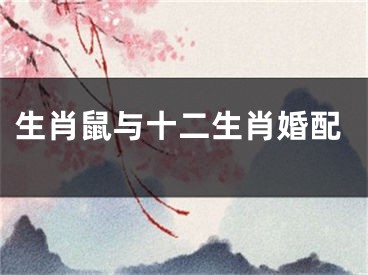 生肖鼠与十二生肖婚配