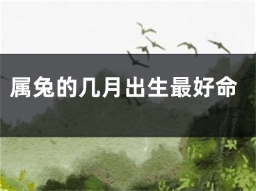属兔的几月出生最好命