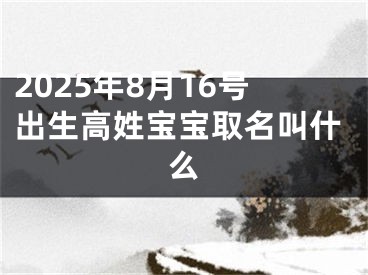 2025年8月16号出生高姓宝宝取名叫什么