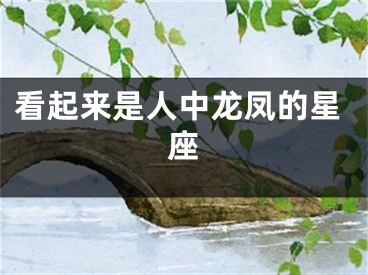 看起来是人中龙凤的星座