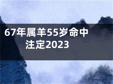 67年属羊55岁命中注定2023