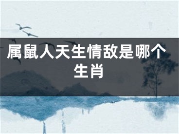 属鼠人天生情敌是哪个生肖