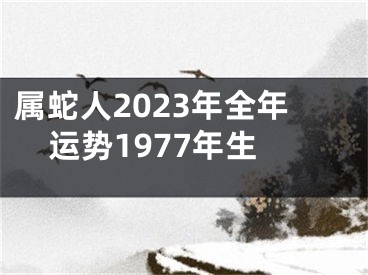 属蛇人2023年全年运势1977年生