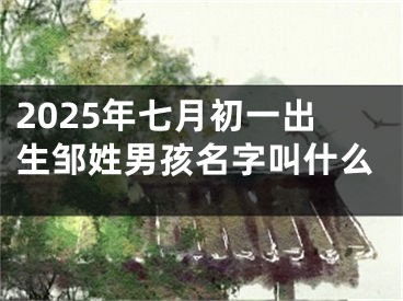 2025年七月初一出生邹姓男孩名字叫什么