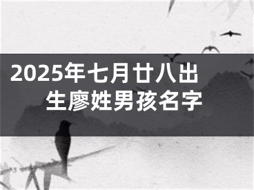 2025年七月廿八出生廖姓男孩名字